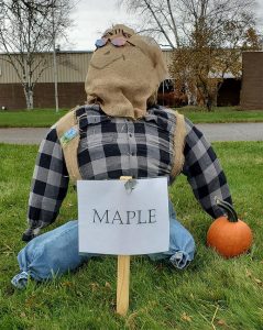 Maple Scarecrow